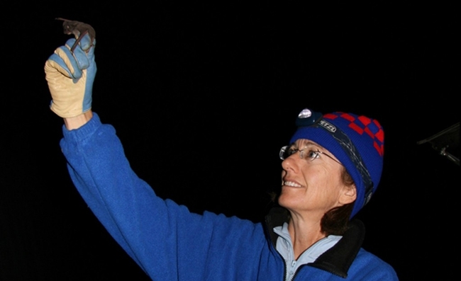 Standing in the dark, woman holds up a small bat.