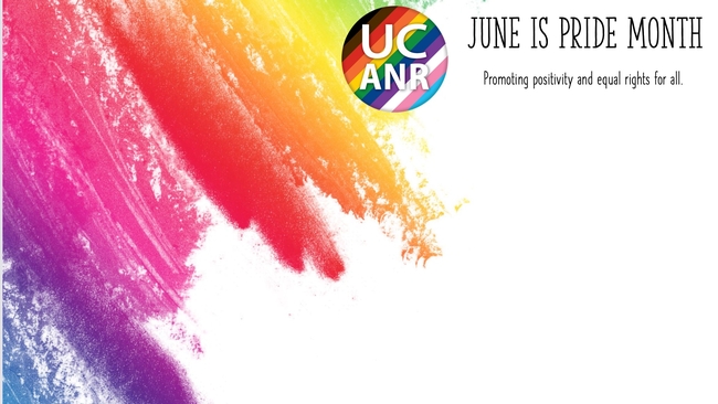 June is Pride Month. Promoting positivity and equal rights for all.