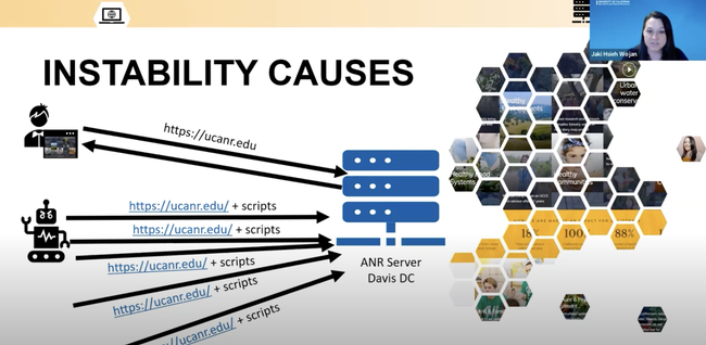 Instability causes: depiction of bots bombarding the ANR server with viruslike scripts. Her image is in the upper right corner as she speaks during the Zoom presentation.