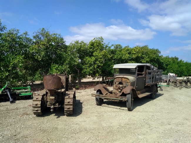 Rusty old farm equipment and an old car line the parking lot along an orchard