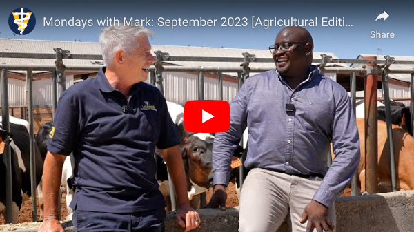 Mark Stetter and Emmanuel Okello  lean on a pen of cows.