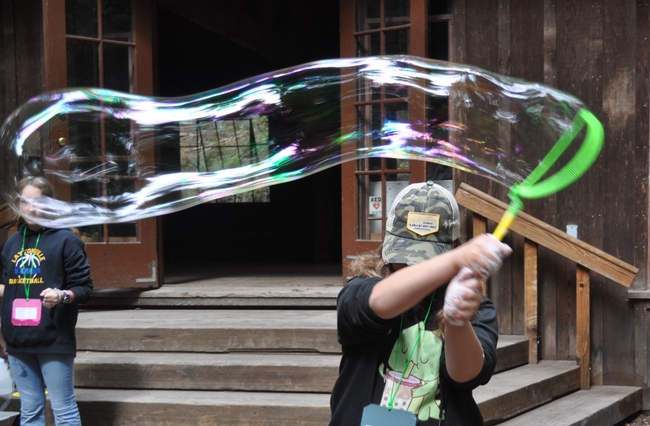 A 4-H camp participant holds wand attached to a large, elongated bubble.