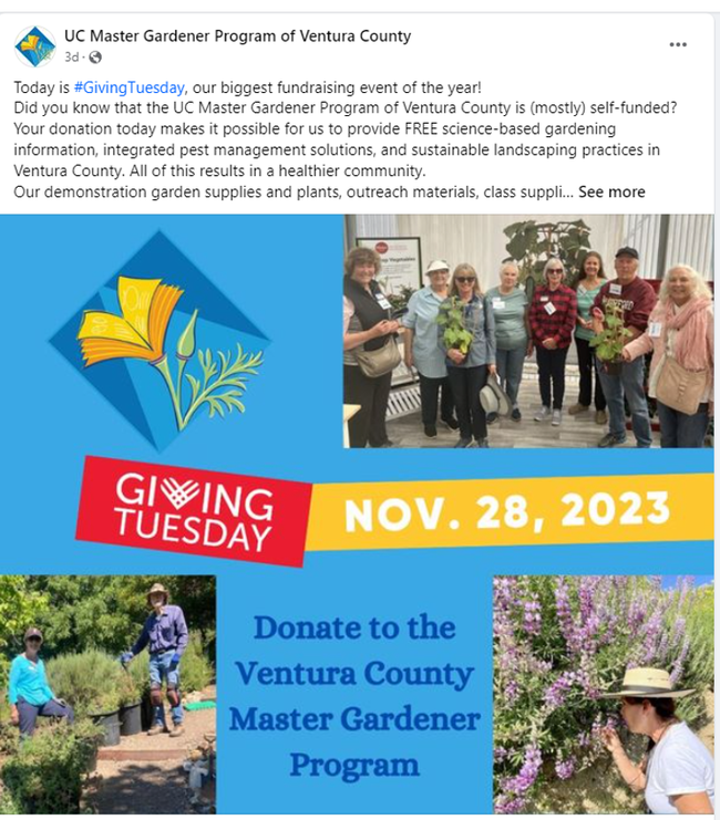 Donate to the Ventura County Master Gardener Program: photos of the volunteers holding plants, in a garden and examining a flowering bush.