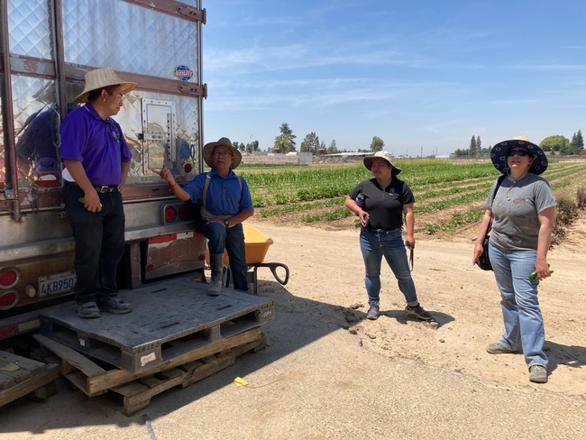 Four people stand around a refrigeration trailer next to a crop field.