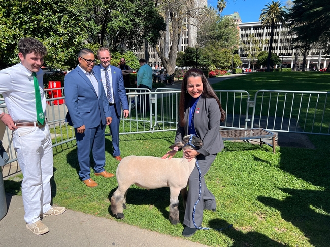 Monique Limon smiles as she leans into a lamb to hold it.