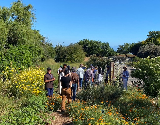 About a dozen people walk along a path lined with orange California poppies and other wildflowers to a gate.