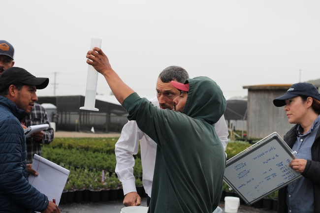 Gerry Spinelli (center) and an irrigator from Boething Treeland Farm confirm the amount of water captured from sprinklers. Photo by Saoimanu Sope.