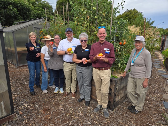 Seven people stand in front of a raised bed of tomato plants. Six of the people are holding tomatoes.