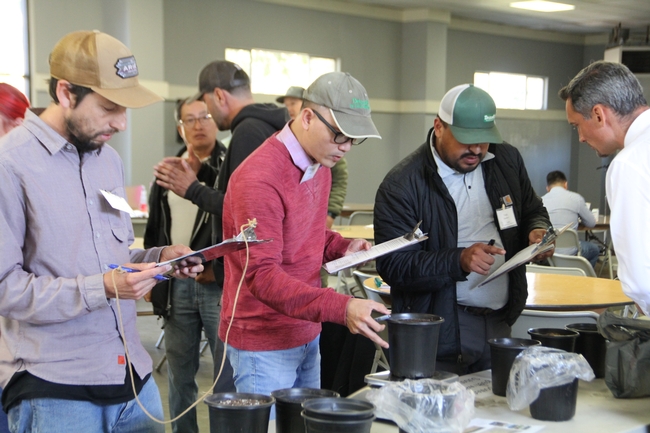 Conference participants engage in live demonstrations during lunch.