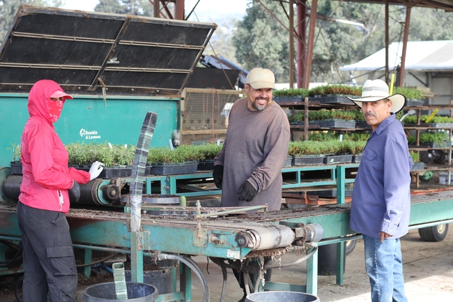 Employees of Griggs Nursery welcome tour attendees and show off their assembly line of potting plants.