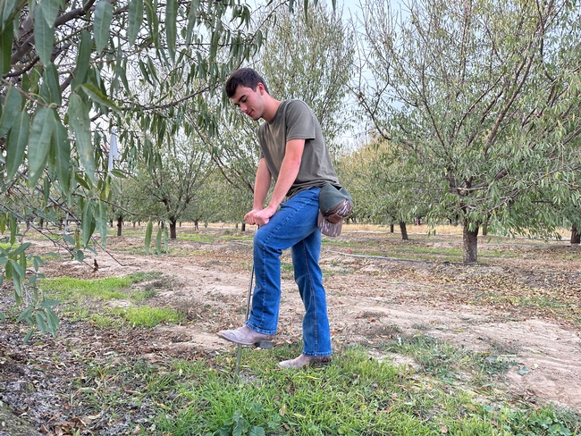 High school student Ayden Coelho is working with Mae Culumber to study whole orchard recycling on soil biodiversity and soil health.