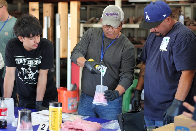 Participants test their exclusion skills during a hands-on group activity.