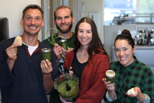 L to R: Gerry Spinelli, Chris Shogren, UCCE Environmental Horticulture Advisor, Lindsey Pedroncelli and Natalie Levy, UCCE Soil Health and Organics Material Management Advisor,  pose with a batch of fresh pesto.