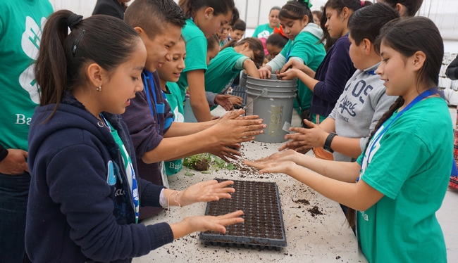 Children in Mexicali plant seeds while learning about food and agriculture.