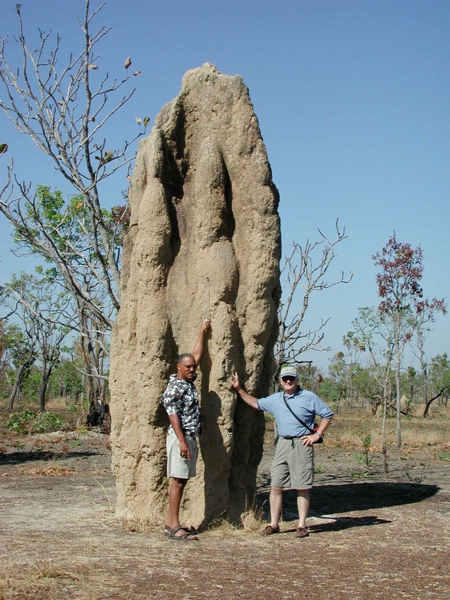 Lewis and Mike Haverty stand next to a termite mound in Kakadu National Park in Northern Australia.