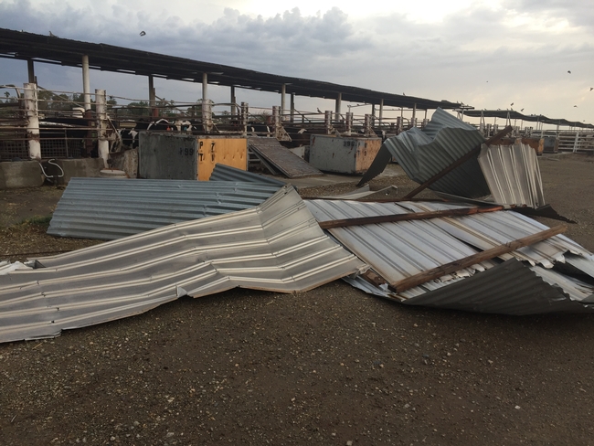 High winds tore off corrugated metal roofing at Desert REC.