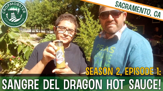 Using a mobile phone and selfie stick, CropMobster's Nicky Bobby interviews Sacramento high school students about their start-up: Sangre del Dragón Hot Sauce company.