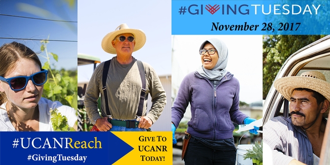 In the #GivingTuesday toolkit, there are several images that can be downloaded for use on social media and print materials.