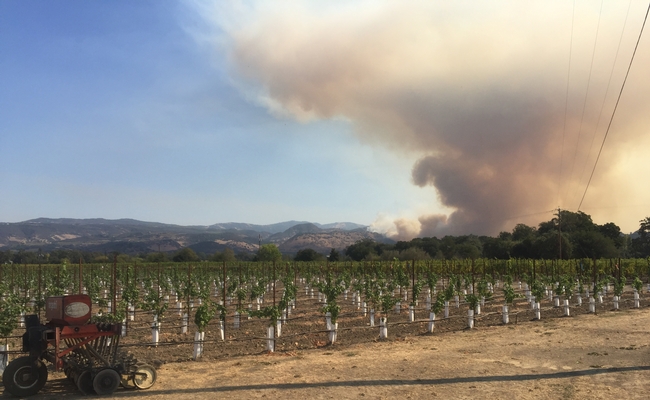 Kaan Kurtural evacuated 15 staff members from the Oakville viticultural research station as fire approached in Napa County.