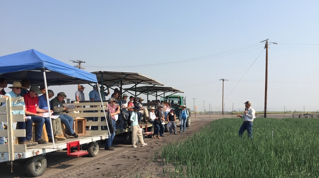 Field day attendees sit on benches on a trolley, listening to Rob Wilson, who is standing in an onion field.