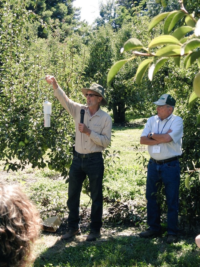 Ingels explained codling moth mating disruption in a pear orchard during a specialty crop tour. Photo by Petr Kosina