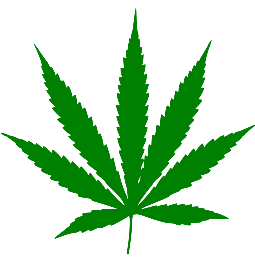 Cannabis leaf. Wikimedia Commons