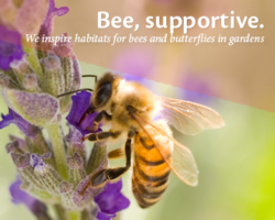 Bee supportive GiveTues