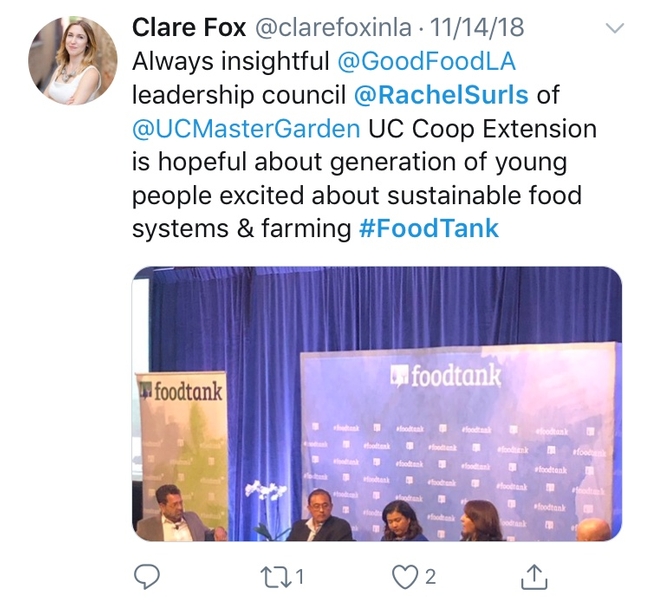 ClareFox Surls Foodtank