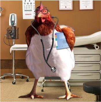 Dr Cluck