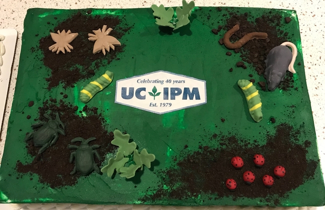 UCIPM cake