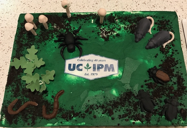 UCIPM 40th cake