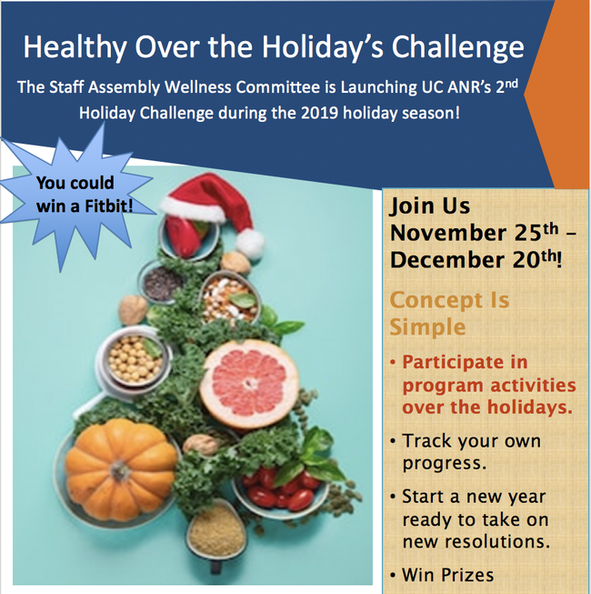 Healthy holidays challenge