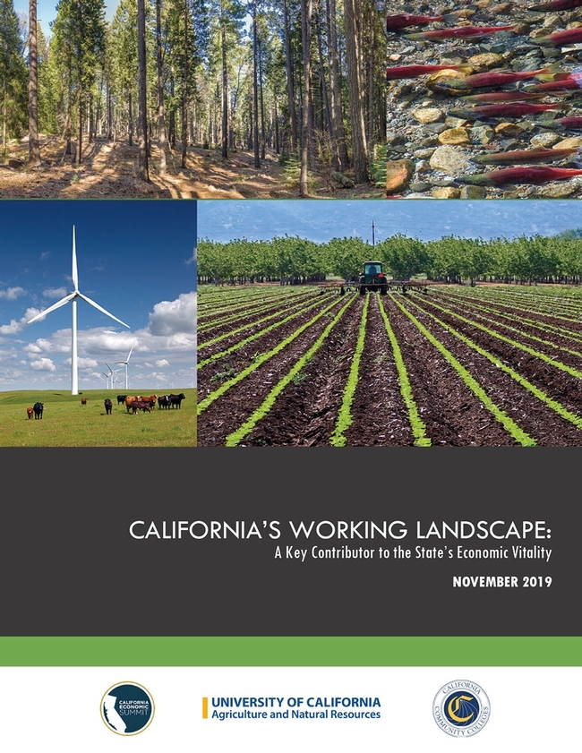 Working landscape report