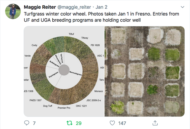 Maggie Reiter uses her Twitter feed to inform the public of the research she is conducting.