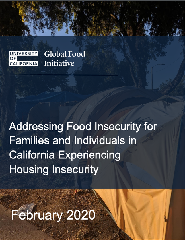 NPI food insecurity report