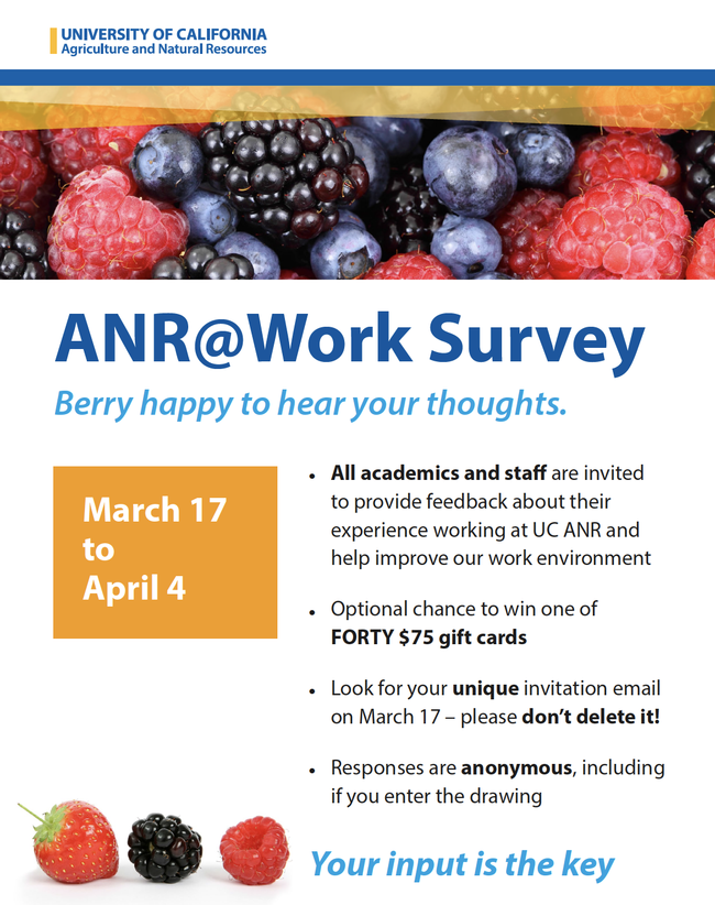 Berry happy work survey