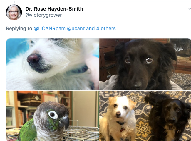 Rose Hayden-Smith has a diverse home office staff.