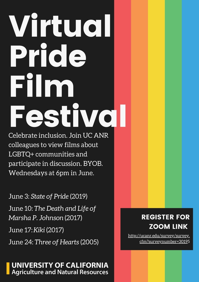 Pride Film Fest Poster