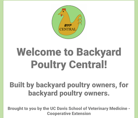Backyard Poultry Central is a new smartphone app for poultry enthusiasts.