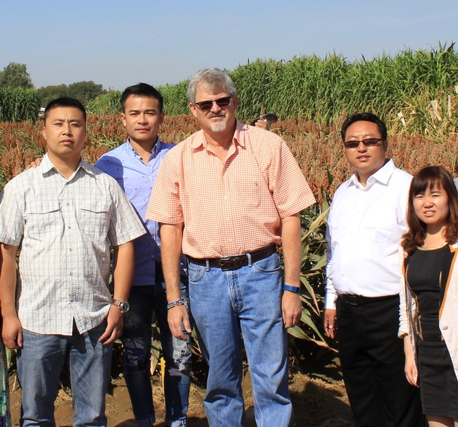 Jeff Dahlberg, center, with a delegation of Chinese sorghum scientists on Sept. 24, 2015, in a sorghum field at Kearney.