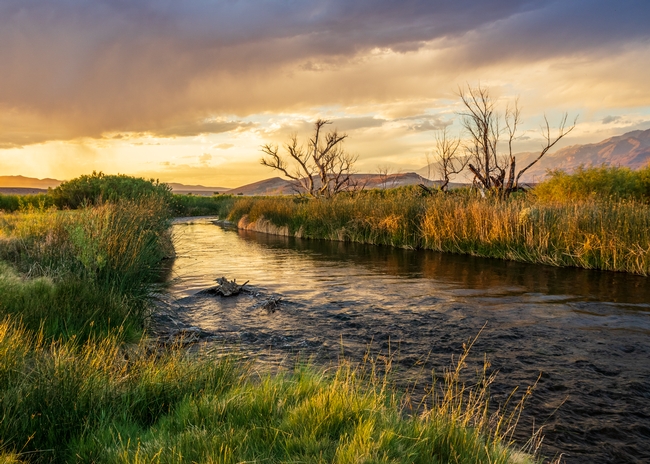 River flows between grassy riverbanks under the orange-tinted sky of day break or sunset.