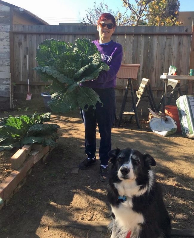 Elaine Silver's dog helped her grow cabbage.