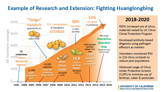 A timeline of citrus research, from 1905 establishment of Citrus Research Station, to 2007 Tango mandarin patent, to 2014 interactive map to report Asian citrus psyllid and huanglongbing disease.