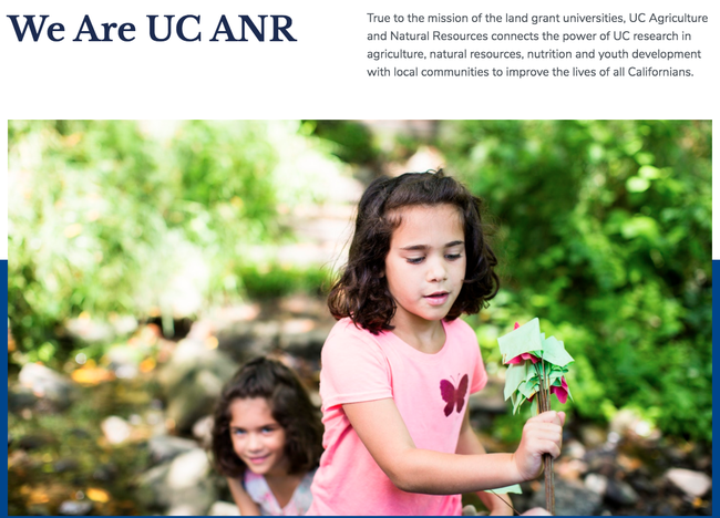 Wondering what ANR's new web interface will look like? A preview is available for feedback.