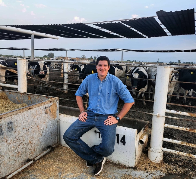 Pedro Carvalho sits outside Desert REC feedlot pen with black & white cattle looking at him.