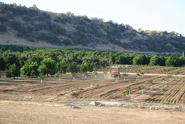 Lindcove Research & Extension Center, located in the foothills of Tulare County, has land, labor and facilities available for 2021-22 research projects.