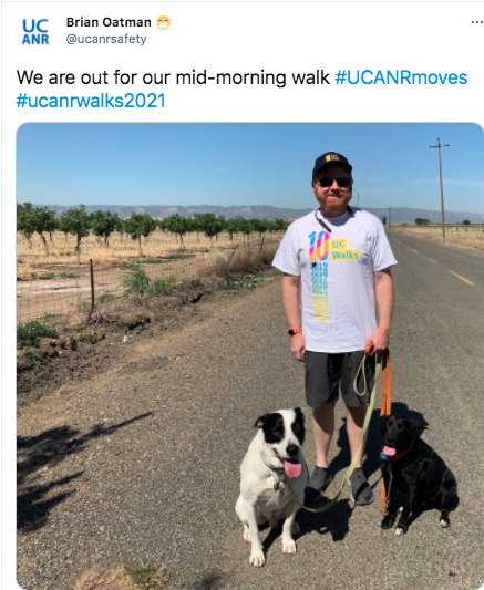 Brian Oatman and his dogs also won a social media award for this selfie tweet.
