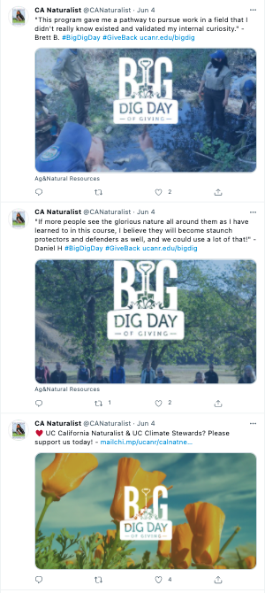 California Naturalists received recognition for their Big Dig Day Twitter campaign.