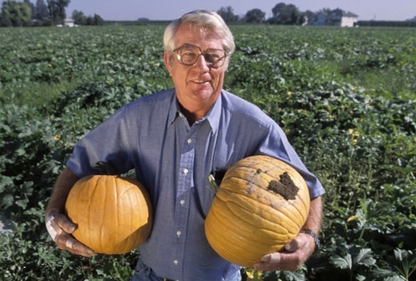 Charlie Summers holds orange pumpkins in each arm while standing in a green field.