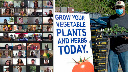 On the left is a Zoom gallery of faces. On the right is a man wearing a face mask holding a flat of seedlings beside a sign that reads, 